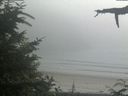 ./images/calvert/beach/20210729/beach20210729_160503.jpg