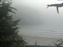 ./images/calvert/beach/20210729/beach20210729_161003.jpg