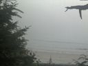 ./images/calvert/beach/20210729/beach20210729_161502.jpg