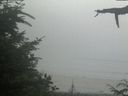 ./images/calvert/beach/20210729/beach20210729_162002.jpg