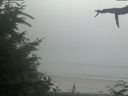 ./images/calvert/beach/20210729/beach20210729_162501.jpg