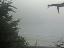 ./images/calvert/beach/20210729/beach20210729_164002.jpg