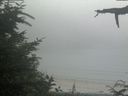 ./images/calvert/beach/20210729/beach20210729_164501.jpg