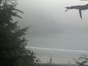 ./images/calvert/beach/20210729/beach20210729_165501.jpg