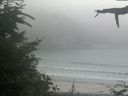 ./images/calvert/beach/20210729/beach20210729_170503.jpg