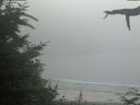 ./images/calvert/beach/20210729/beach20210729_171003.jpg