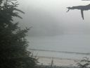 ./images/calvert/beach/20210729/beach20210729_171502.jpg