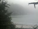 ./images/calvert/beach/20210729/beach20210729_173503.jpg
