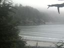 ./images/calvert/beach/20210729/beach20210729_174002.jpg