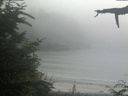 ./images/calvert/beach/20210729/beach20210729_174502.jpg