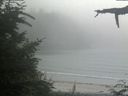 ./images/calvert/beach/20210729/beach20210729_175003.jpg