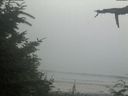 ./images/calvert/beach/20210729/beach20210729_180001.jpg