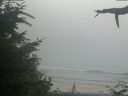 ./images/calvert/beach/20210729/beach20210729_180501.jpg