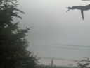 ./images/calvert/beach/20210729/beach20210729_181001.jpg