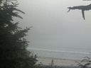./images/calvert/beach/20210729/beach20210729_181502.jpg