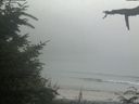 ./images/calvert/beach/20210729/beach20210729_182001.jpg