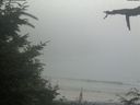 ./images/calvert/beach/20210729/beach20210729_182501.jpg