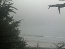 ./images/calvert/beach/20210729/beach20210729_183502.jpg