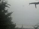 ./images/calvert/beach/20210729/beach20210729_184003.jpg