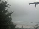 ./images/calvert/beach/20210729/beach20210729_184503.jpg