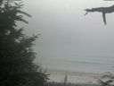 ./images/calvert/beach/20210729/beach20210729_185002.jpg