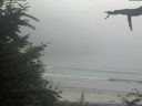 ./images/calvert/beach/20210729/beach20210729_185502.jpg