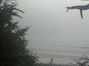 ./images/calvert/beach/20210729/beach20210729_190503.jpg