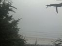 ./images/calvert/beach/20210729/beach20210729_191002.jpg