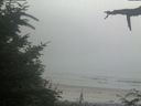 ./images/calvert/beach/20210729/beach20210729_191503.jpg