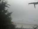./images/calvert/beach/20210729/beach20210729_192003.jpg