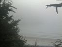 ./images/calvert/beach/20210729/beach20210729_192502.jpg