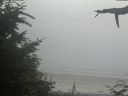 ./images/calvert/beach/20210729/beach20210729_193503.jpg