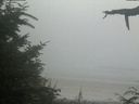 ./images/calvert/beach/20210729/beach20210729_194003.jpg