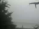 ./images/calvert/beach/20210729/beach20210729_194501.jpg