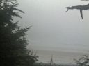 ./images/calvert/beach/20210729/beach20210729_195002.jpg