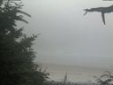 ./images/calvert/beach/20210729/beach20210729_200502.jpg