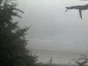 ./images/calvert/beach/20210729/beach20210729_201002.jpg