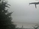 ./images/calvert/beach/20210729/beach20210729_201501.jpg
