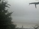 ./images/calvert/beach/20210729/beach20210729_202001.jpg