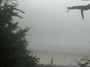 ./images/calvert/beach/20210729/beach20210729_202501.jpg