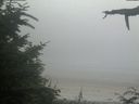 ./images/calvert/beach/20210729/beach20210729_203502.jpg