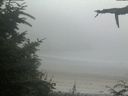 ./images/calvert/beach/20210729/beach20210729_204003.jpg
