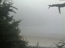 ./images/calvert/beach/20210729/beach20210729_204502.jpg