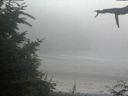 ./images/calvert/beach/20210729/beach20210729_205002.jpg
