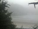 ./images/calvert/beach/20210729/beach20210729_205503.jpg