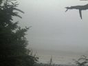 ./images/calvert/beach/20210729/beach20210729_210502.jpg