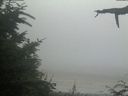 ./images/calvert/beach/20210729/beach20210729_211003.jpg