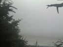 ./images/calvert/beach/20210729/beach20210729_211503.jpg