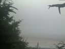 ./images/calvert/beach/20210729/beach20210729_212002.jpg