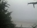./images/calvert/beach/20210729/beach20210729_212502.jpg